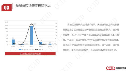 2020-2021中国区块链企业发展白皮书 技术演进、软件创新与服务体系